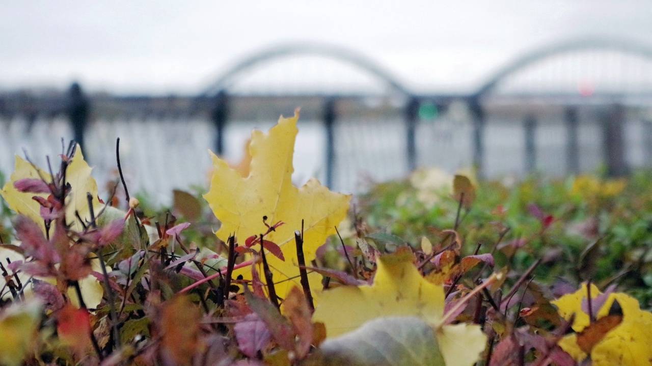 Воскресное собрание 20.10.2024