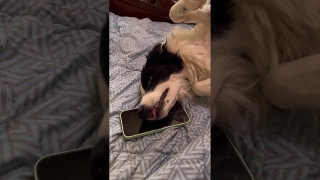 У вас бывают такие проблемы со зрением?😄