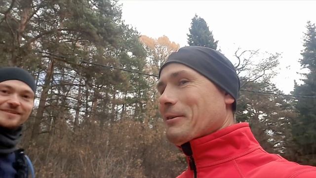 Прогулка в сосновом бору