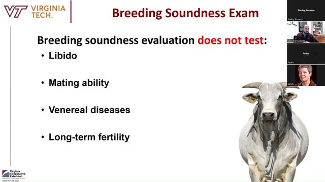 BRTF Spring webinar - How many cleanup bulls do I need after TAI?