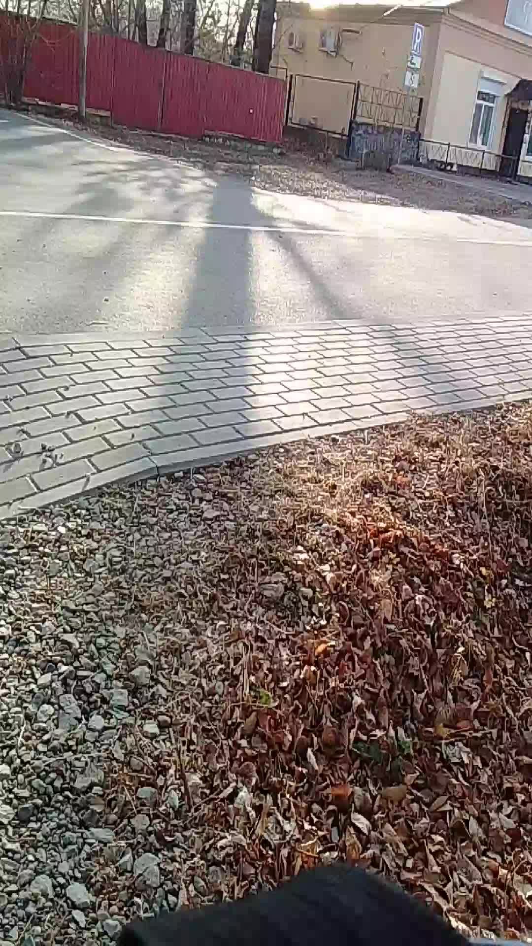 стрим последний