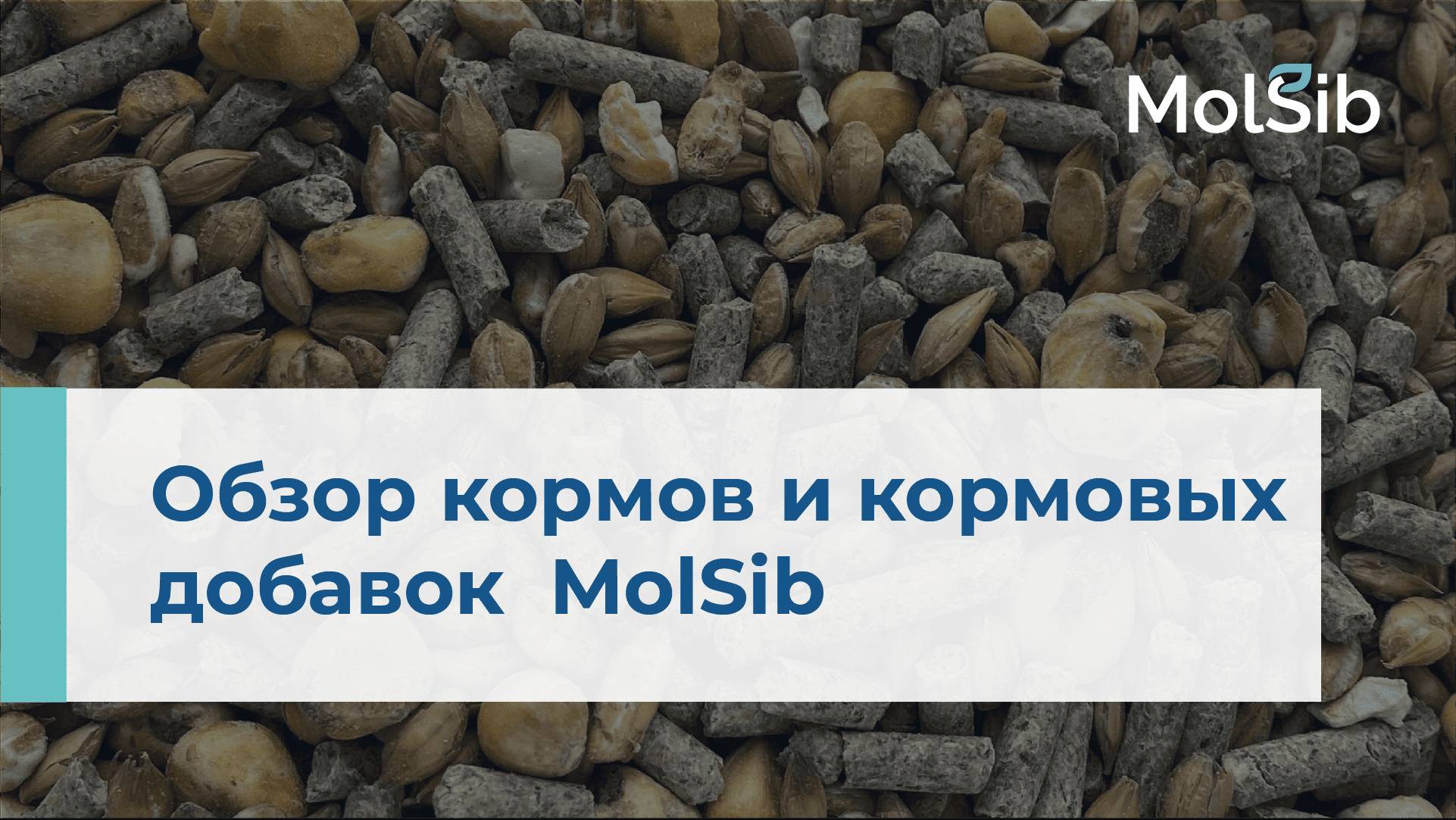 Корма и кормовые добавки MolSib