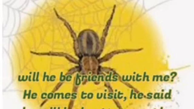 Spiders in my room - Andrè Karlsen (Lyrics) 🕷🕸