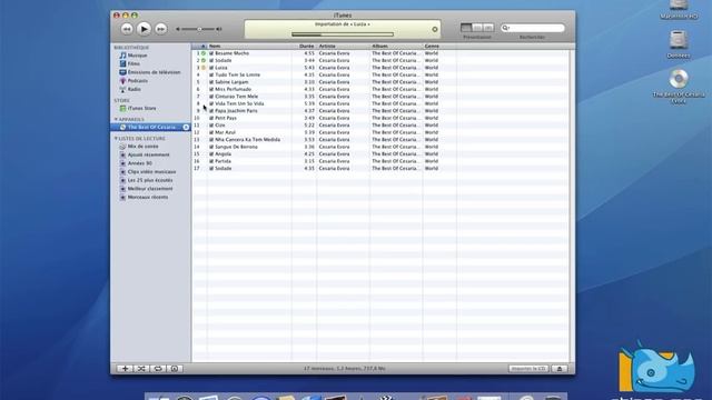 39 • Les noms des pistes et pochettes avec iTunes 7 • Mac OS X Tiger (tutoriel vidéo)
