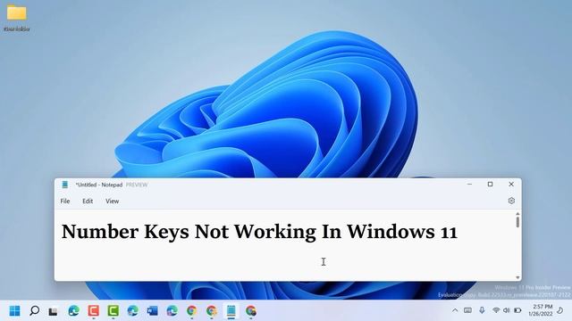 Number Keys Not Working In Windows 11