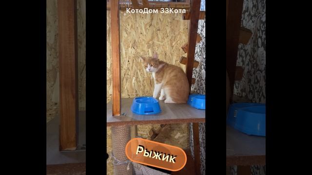 Семейство Белочка, Тимоша и Рыжик снова в гостях!