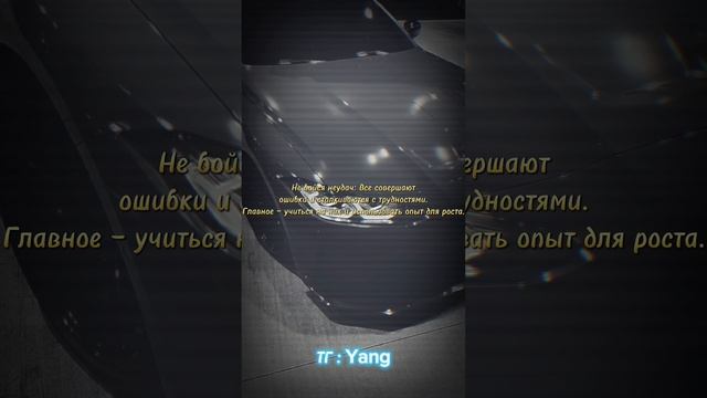 ТГ : Yang