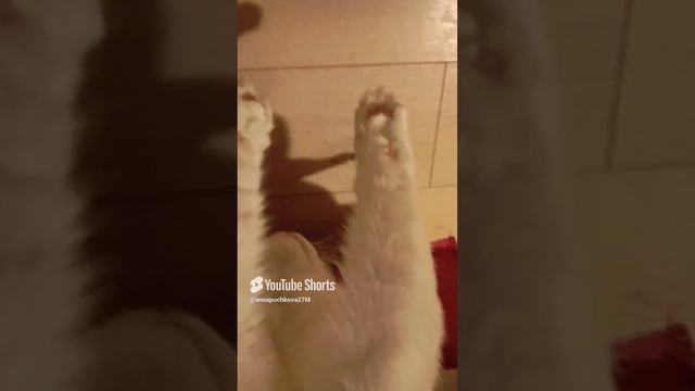 Соскользнула изящно!❤️
