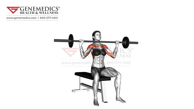 Barbell Seated Overhead Press female Shoulders Exercise