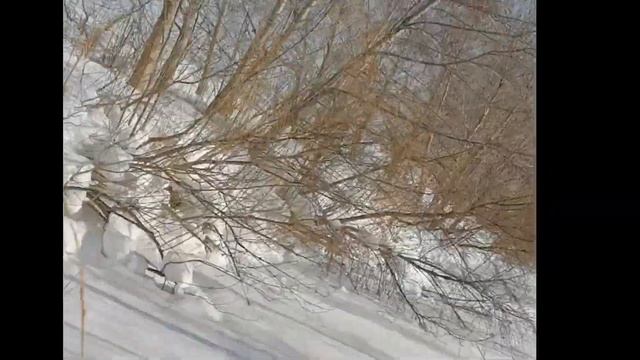 Обзор мотоснегоката Эгоист Спорт от Русохода