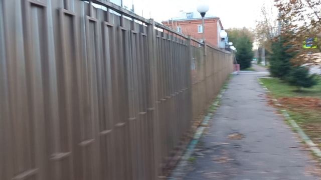 Утро. Воскресенье. Прогулка на природе (4)