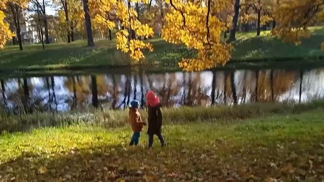 Влог с Парка