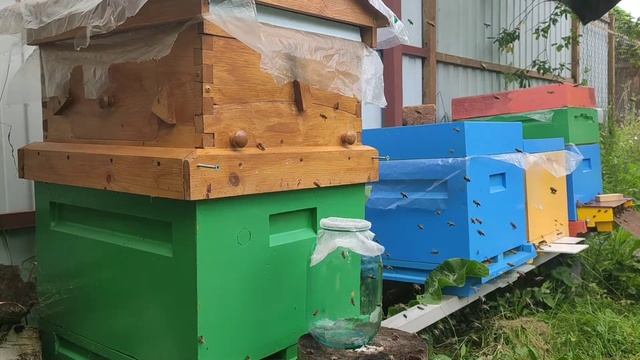 Улей flow hive, выкачка рамки.
