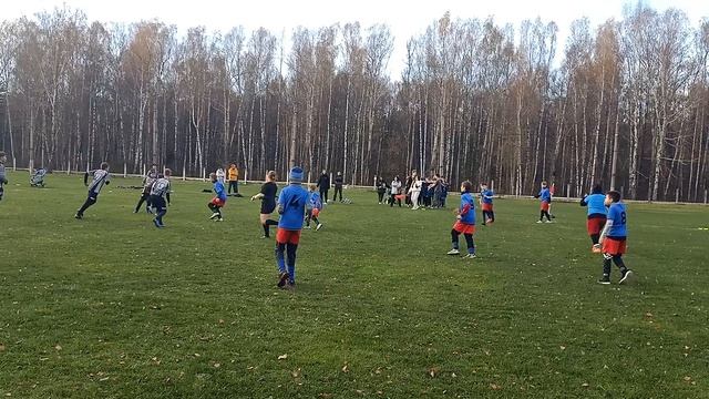 19. 10.24 Волки VS Владимир 2012-2013 г.р. Кубок Золотого Кольца