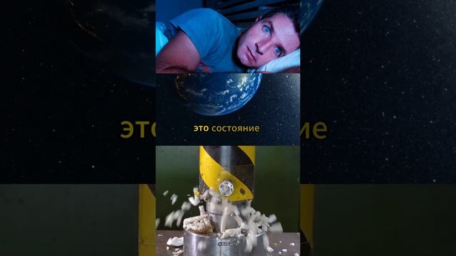 Интересный факт ❘ часть 49 #shorts #youtubeshorts #short