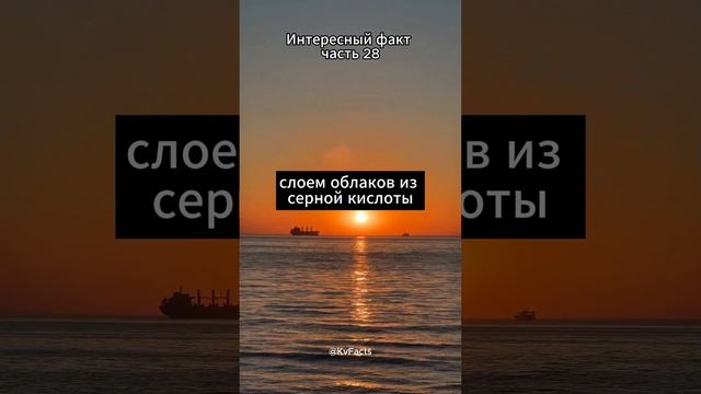 Интересный факт ❘ часть 28 #shorts #short #youtubeshorts