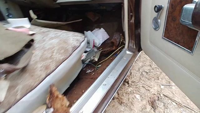 1973 Plymouth Fury III Junkyard Find