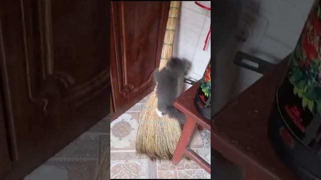 1000082869.mp4