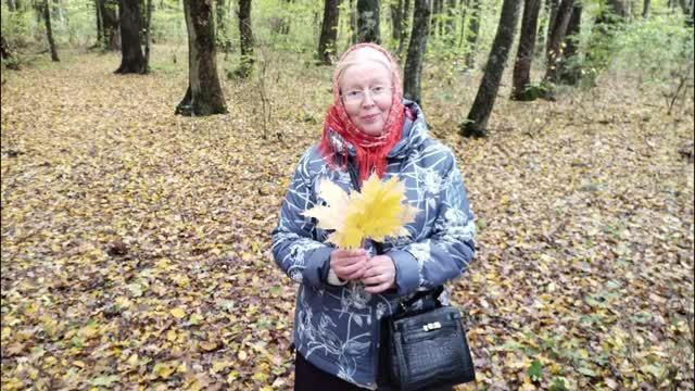 2024_10_19_краски осени