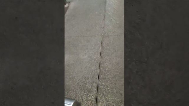 Шашенкова Любовь