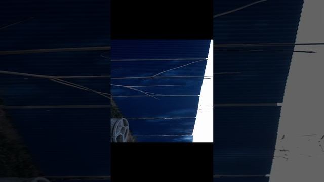Прогулка 19 октября, утро, продолжение
