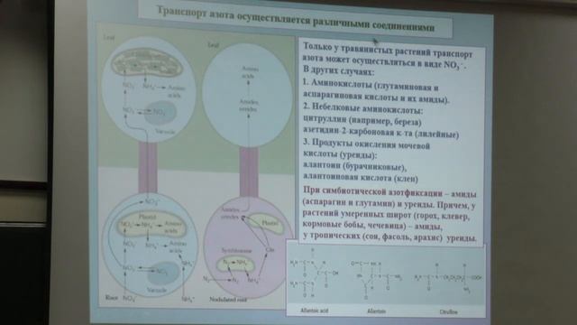 8. Минеральный обмен растений. Физиология растений I - Носов А. М. Teach-in.