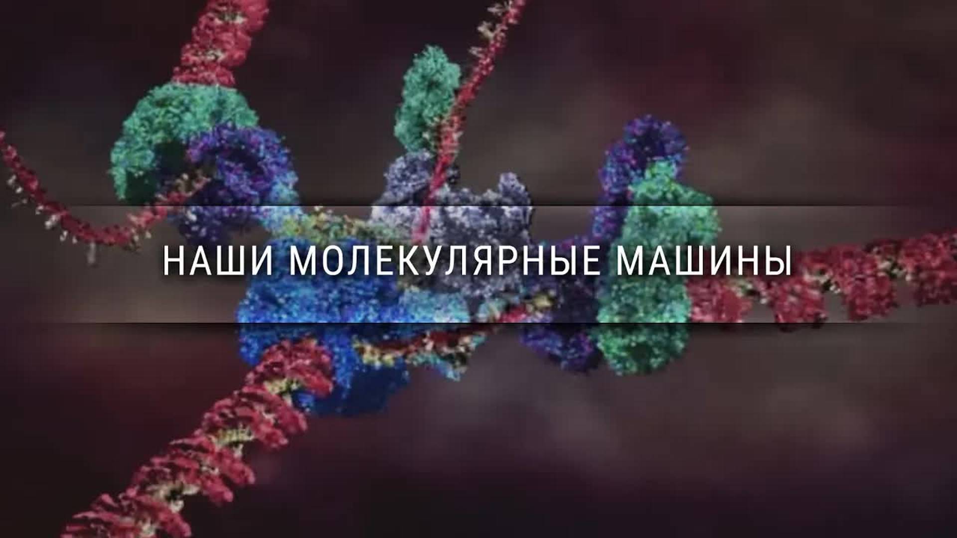 [Veritasium] Наши молекулярные машины