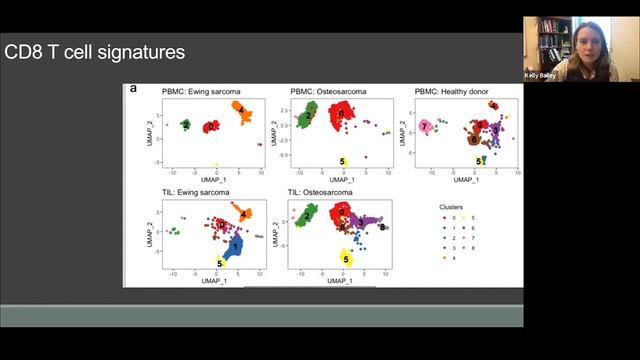 Ewing Sarcoma, Osteosarcoma Have Distinct Immune Signatures and Intercellular Communication Network