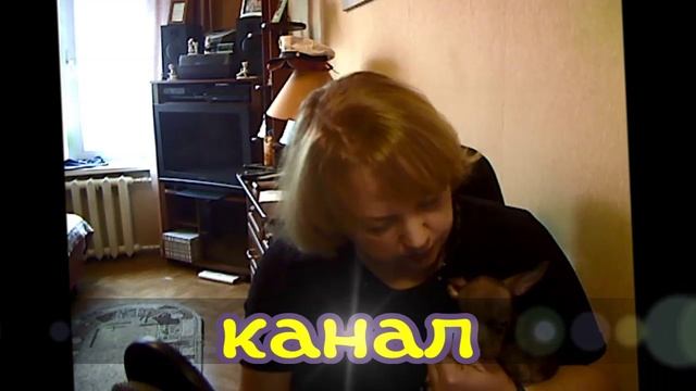 Видео-визитка