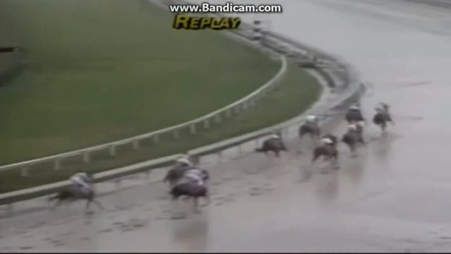 Suffolk Downs - 7/16/14 - Race 9 - Claiming - Head On View