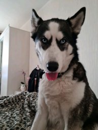 немного о канале