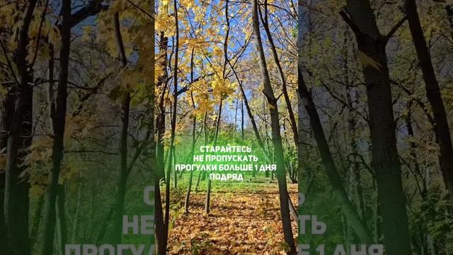 ХОДИМ и ХУДЕЕМ - как правильно начать?