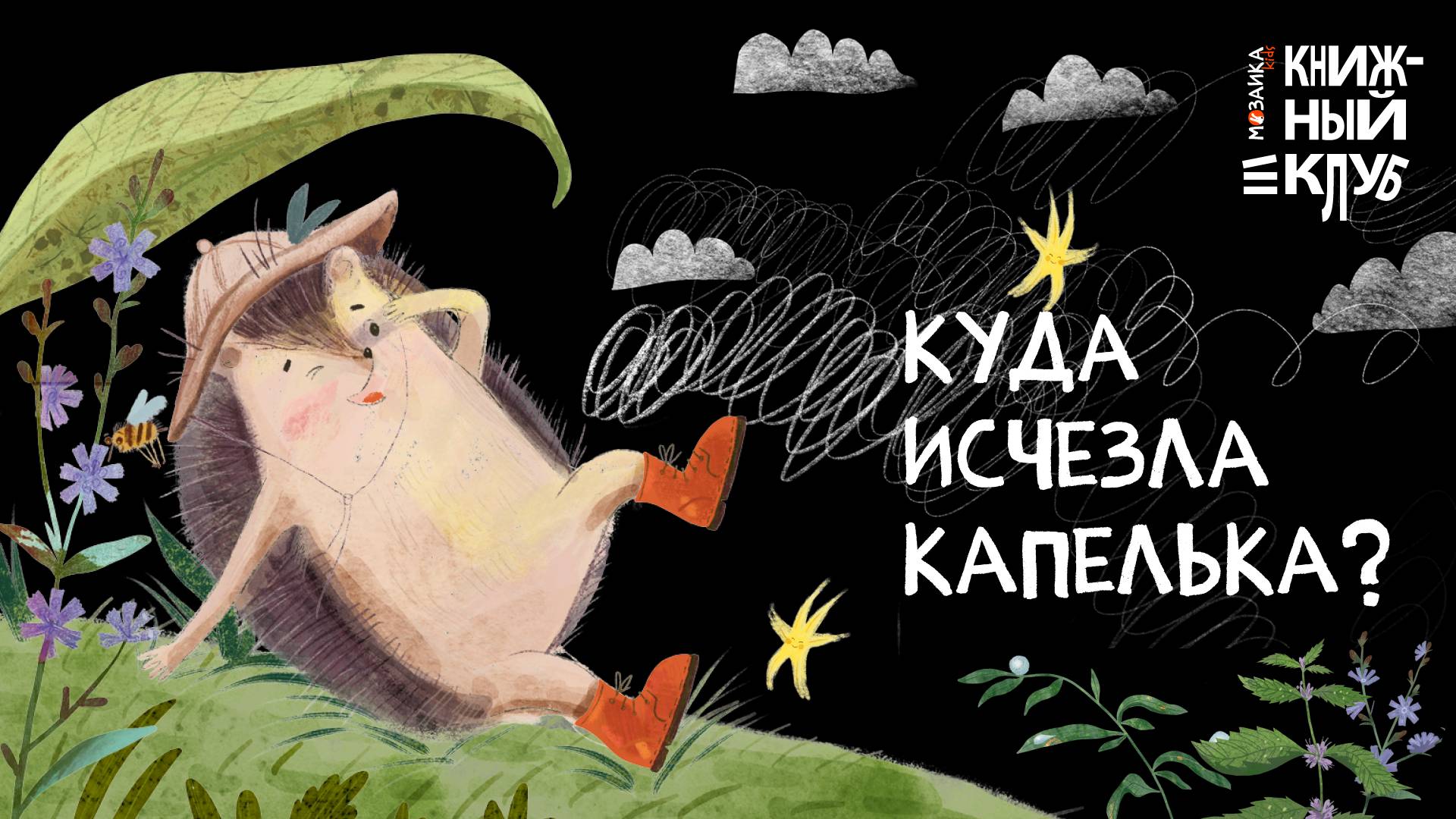 Книжный клуб - Куда исчезла капелька