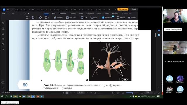 8 класс_6_21.10_Б_Размножение_Развитие