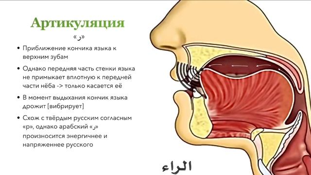 Буква ر