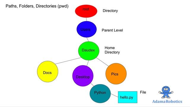 Introduction to Command Line for Beginners: Mac OS and Linux