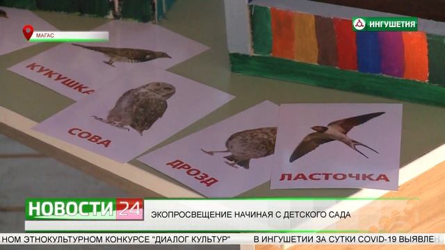 Экопросвещение начиная с детского сада.