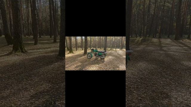 scene_output.mp4