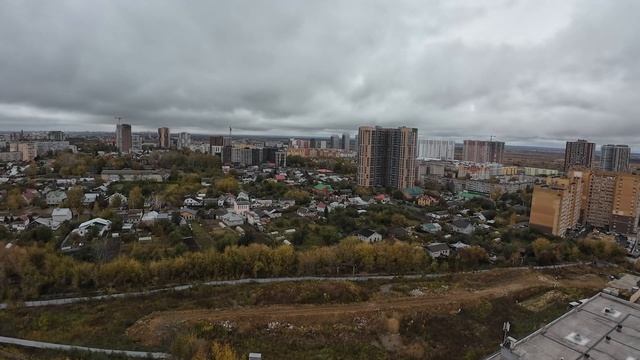Муравейники Рязани.