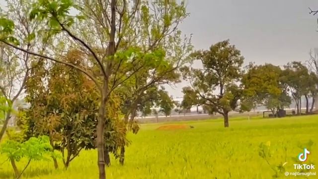 Iphone 16.7 update now camera new feature