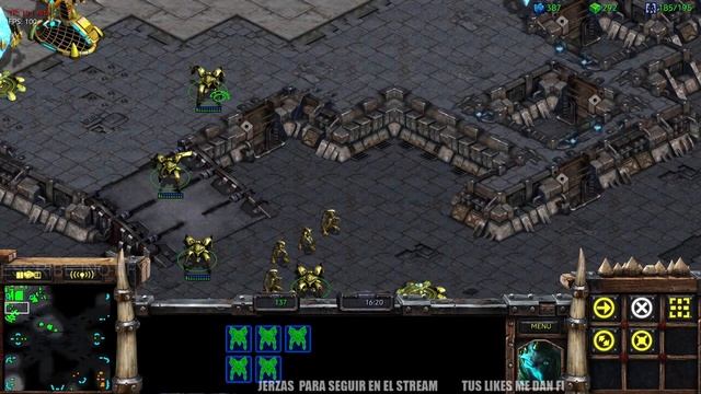 Protoss LIGA C (1600 MMR)⚔️Objetivo 50 likes