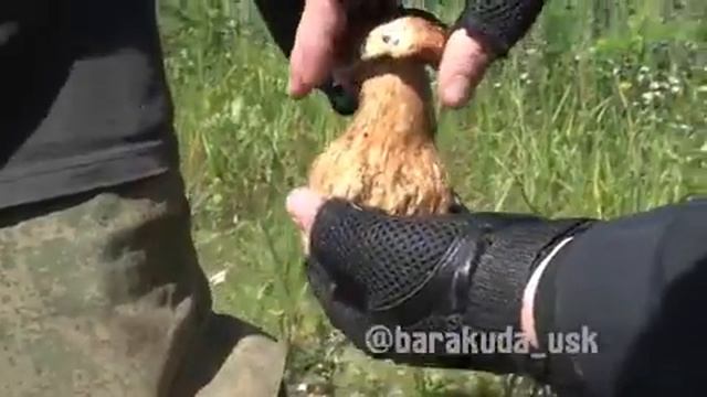 Скоро будем платить за воздух
