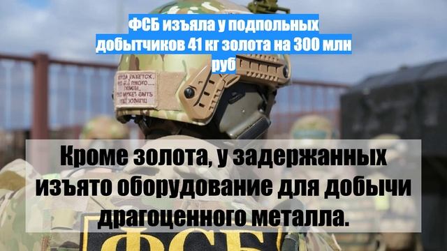 ФСБ изъяла у подпольных добытчиков 41 кг золота на 300 млн руб