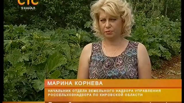 Борщевик и ОЗС
