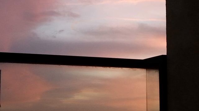 Aurora - Apple Tree - Cover