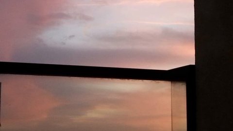 Aurora - Apple Tree - Cover