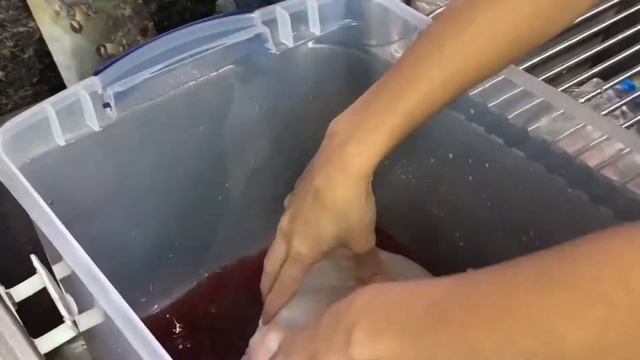 CRANBERRY APPLE TURKEY BRINE