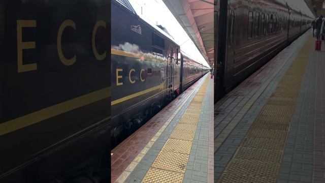 «Ночной экспресс» на Ленинградском вокзале