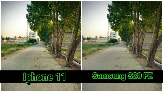 iphone 11  Vs Samsung S20 FE Camera Test