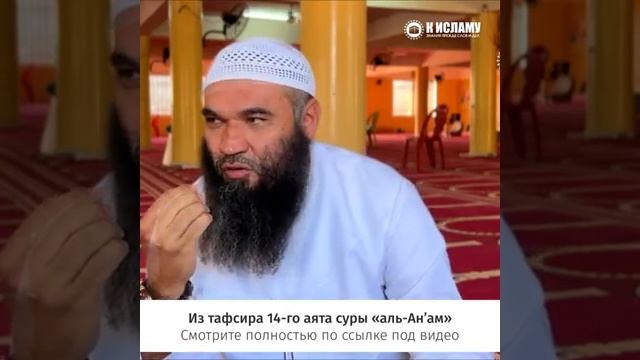 Нам не понять женщин...  Ринат Абу Мухаммад